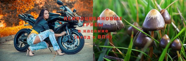 кокс Володарск