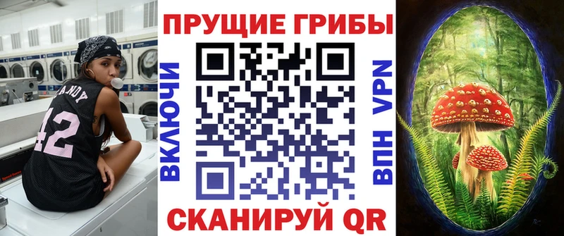 Псилоцибиновые грибы MAGIC MUSHROOMS  Рыбное 