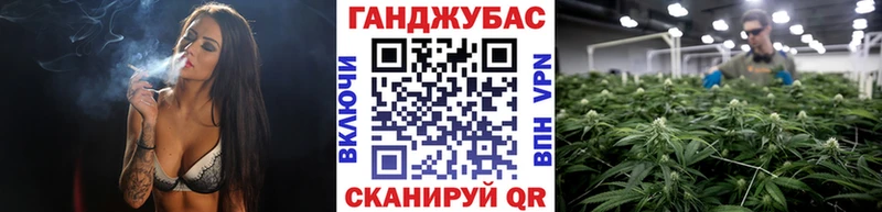 дарнет шоп  Рыбное  Канабис сатива 